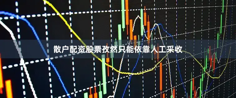 散户配资股票孜然只能依靠人工采收