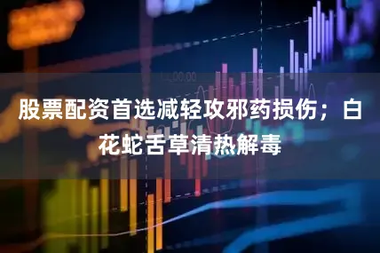 股票配资首选减轻攻邪药损伤；白花蛇舌草清热解毒