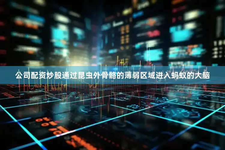公司配资炒股通过昆虫外骨骼的薄弱区域进入蚂蚁的大脑