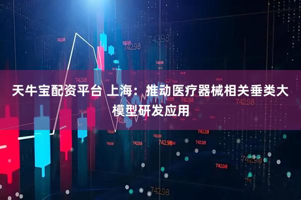 天牛宝配资平台 上海：推动医疗器械相关垂类大模型研发应用