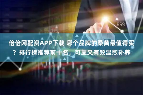 倍倍网配资APP下载 哪个品牌的桑黄最值得买？排行榜推荐前十名，可靠又有效温煦补养