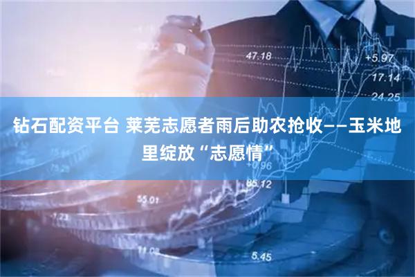 钻石配资平台 莱芜志愿者雨后助农抢收——玉米地里绽放“志愿情”