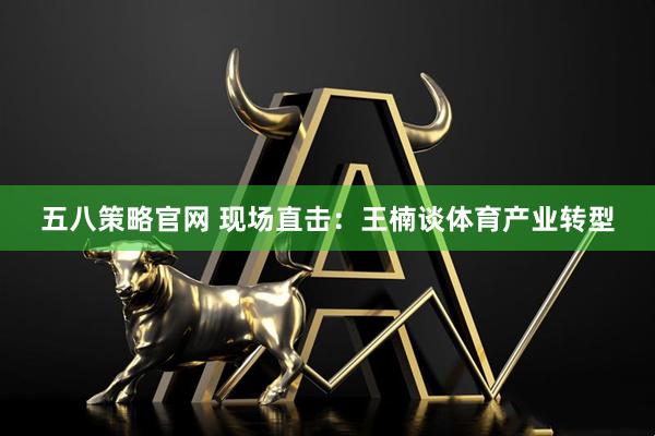 五八策略官网 现场直击：王楠谈体育产业转型