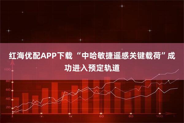 红海优配APP下载 “中哈敏捷遥感关键载荷”成功进入预定轨道